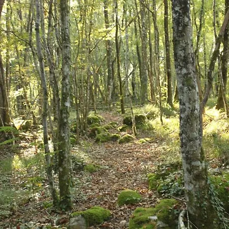 Les Taloches Tourtoirac