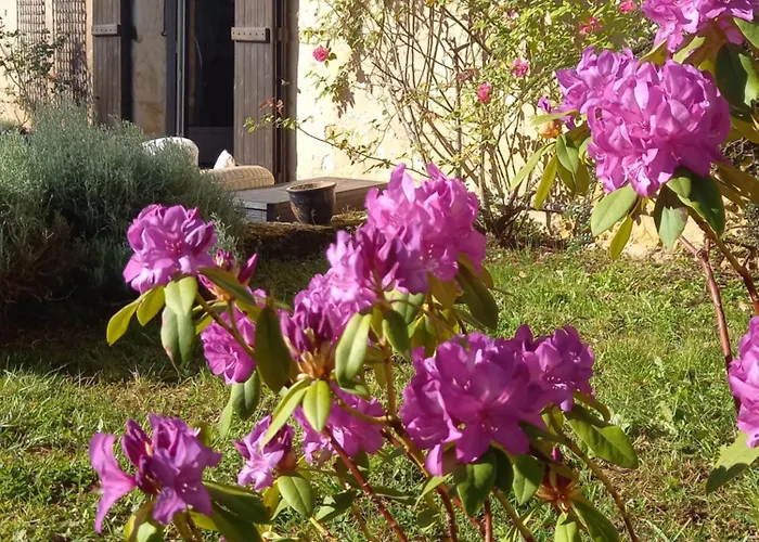 Les Taloches Bed & Breakfast 4*